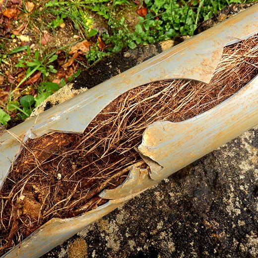 Same Day Drain Sewer & Rooter Pros Across New Hampshire